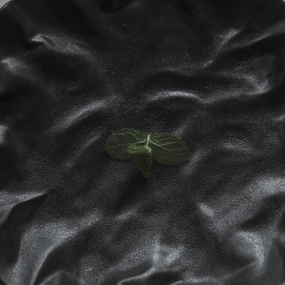 sten 岩石肌理圓盤